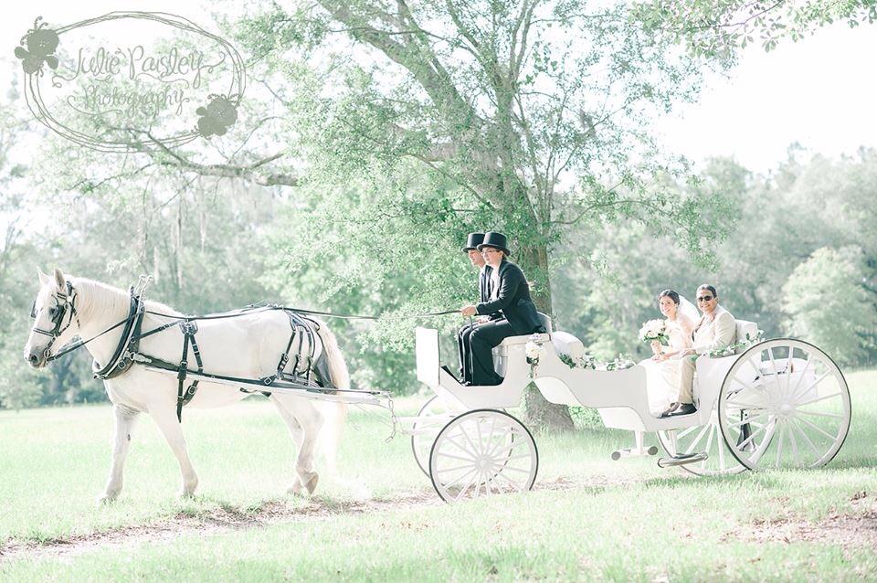 Cinderella Coach Classic Horse Carriage Available For Weddings