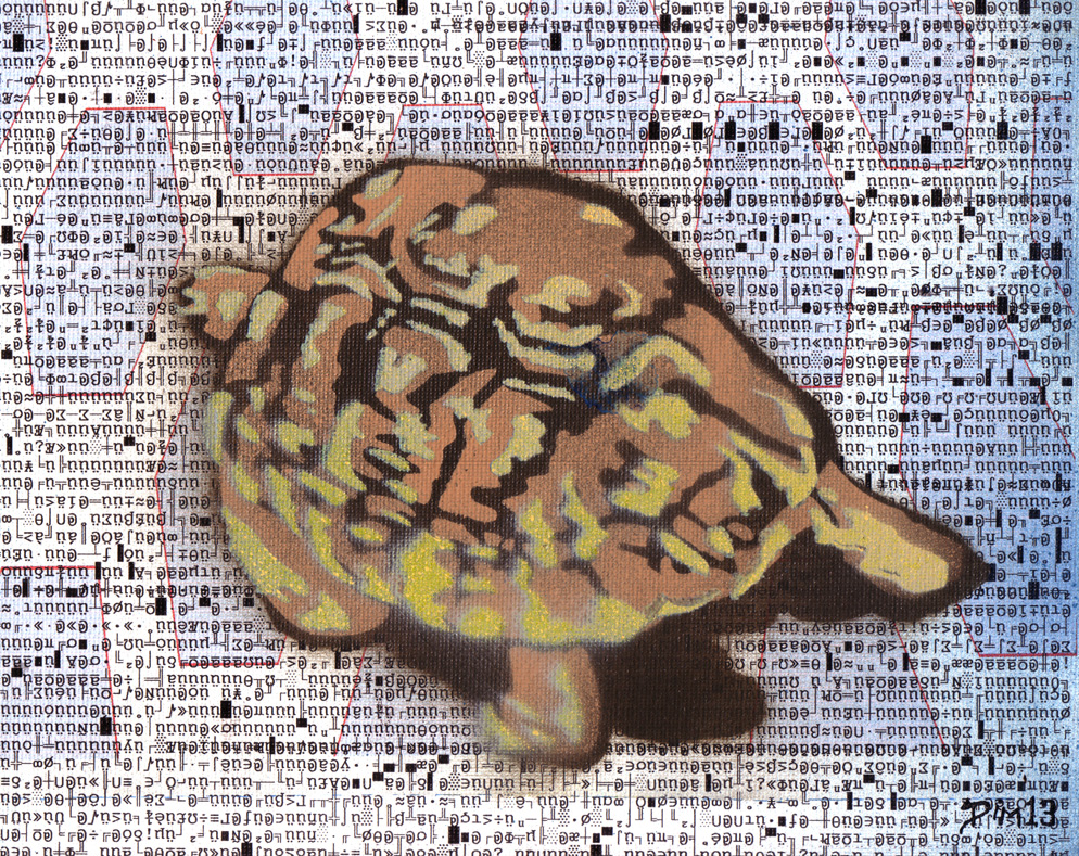 Turtle by Dim Media
