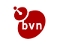 Bvn