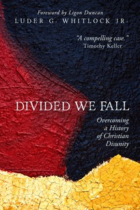 Divided We Fall