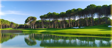 Carya