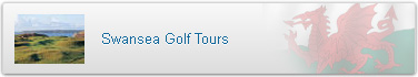Swansea Tours