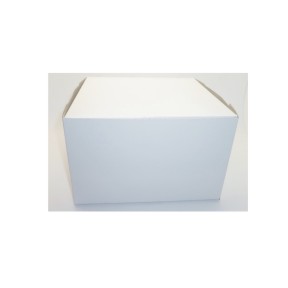 Evergreen Packaging BX3100 Bakery Box, 8" X 8" X 5", White