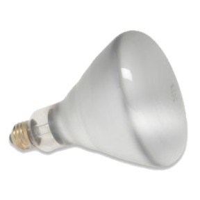 Havells-usa 03509 Heat Lamp Bulb Shatter Proof