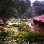 UCDVO Kisiizi Hospital avatar