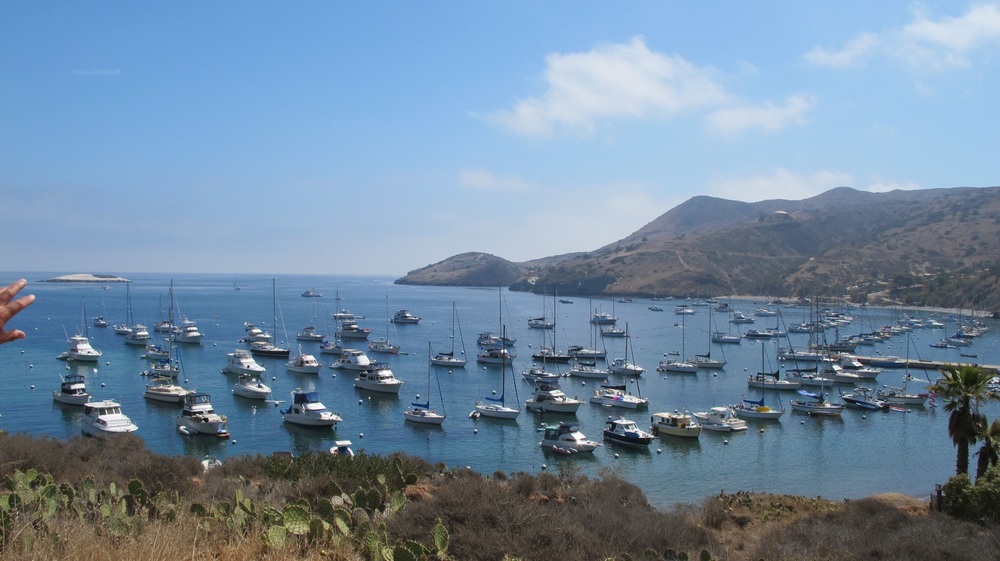 Two Harbors Catalina Mooring Map Isthmus Cove Two Harbors | Anchorage.io