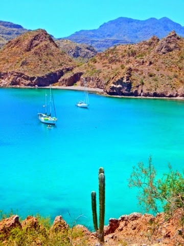 Right up there with Los Gatos (which is close by) Bahia Agua Verde is one of our top cruising destinations in the Sea of Cortez