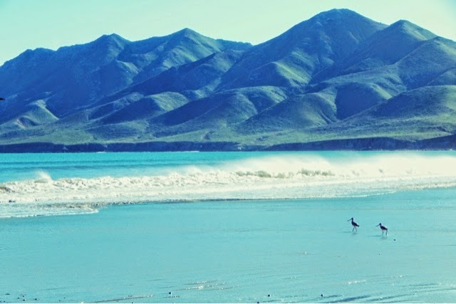 Bahia Santa Maria provides a huge calm bay with an estuary for a good day trip with kayaks.