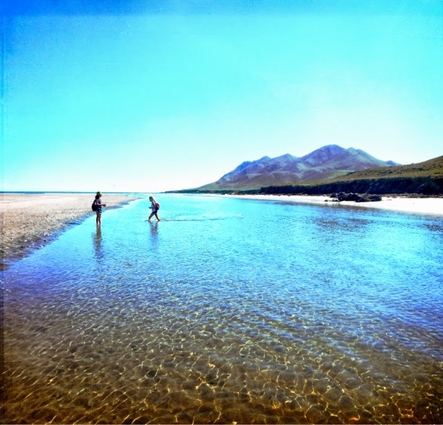 Take a kayak ride up the estuary to see how a small village lives life and collect sand dollars the size of your head.