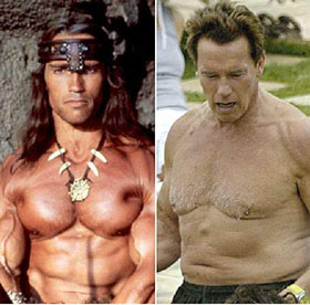 How Much Did Arnold Schwarzenegger Weigh in His Prime