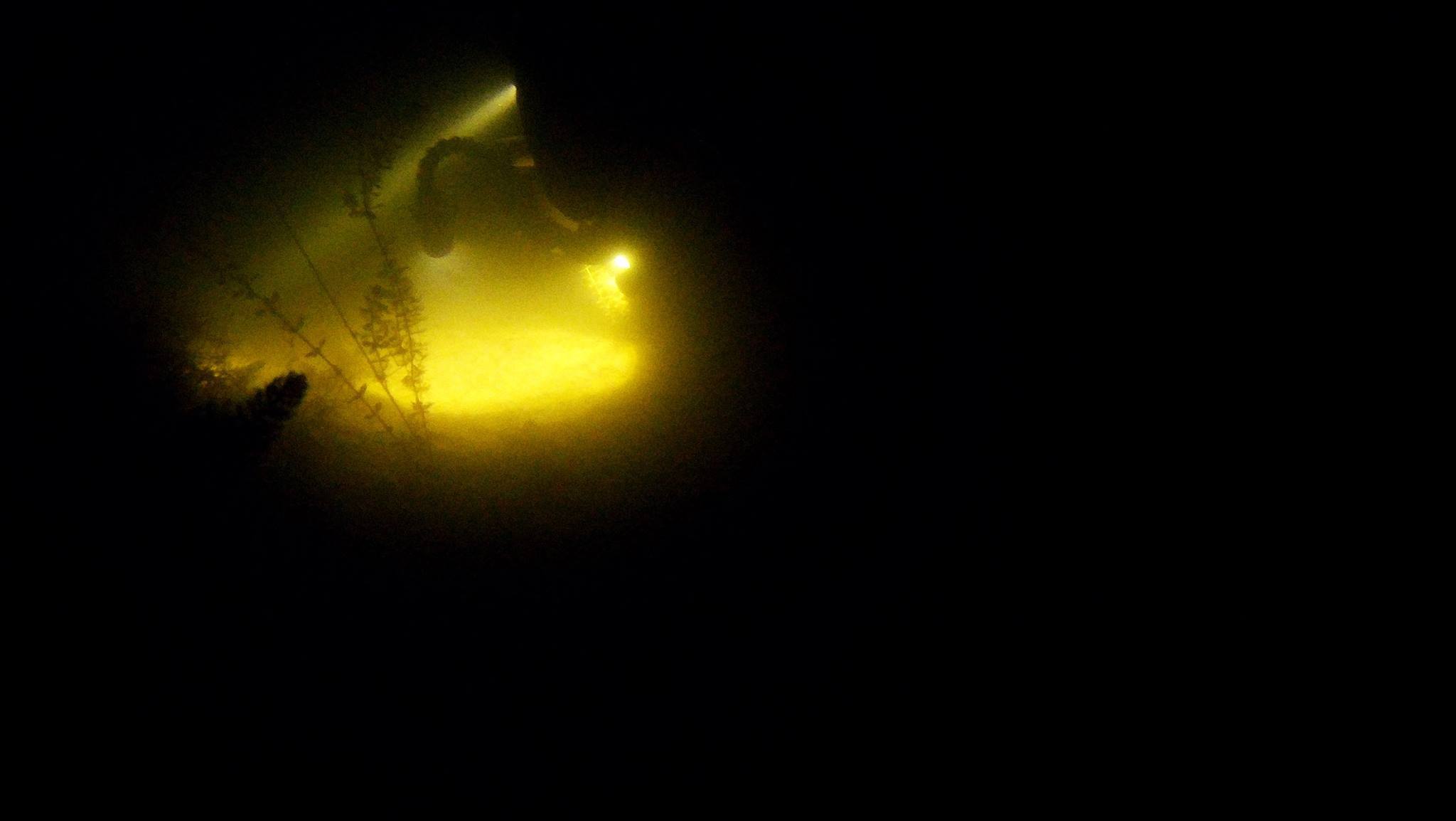 Picture taken during the dive