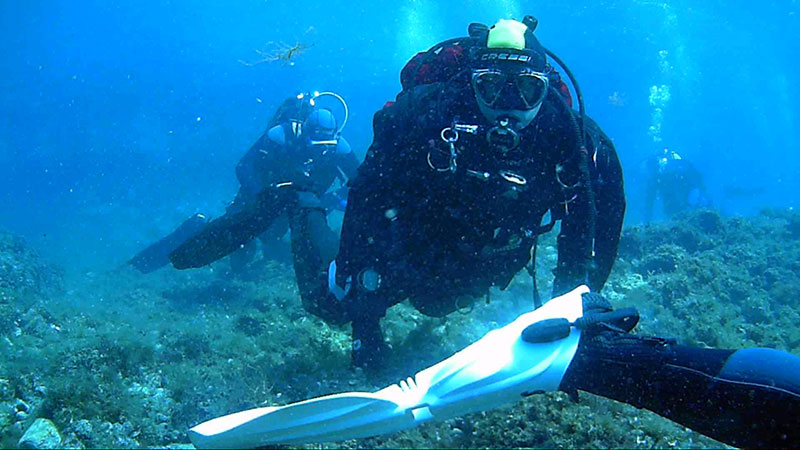 Picture taken during the dive