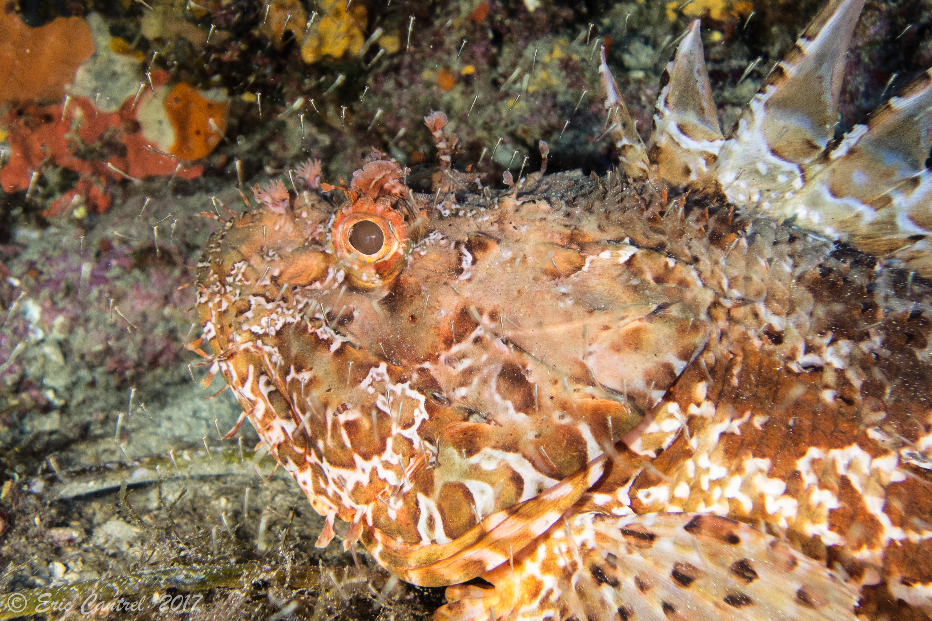 A L Eau Plongee 83 - Dive Center in France