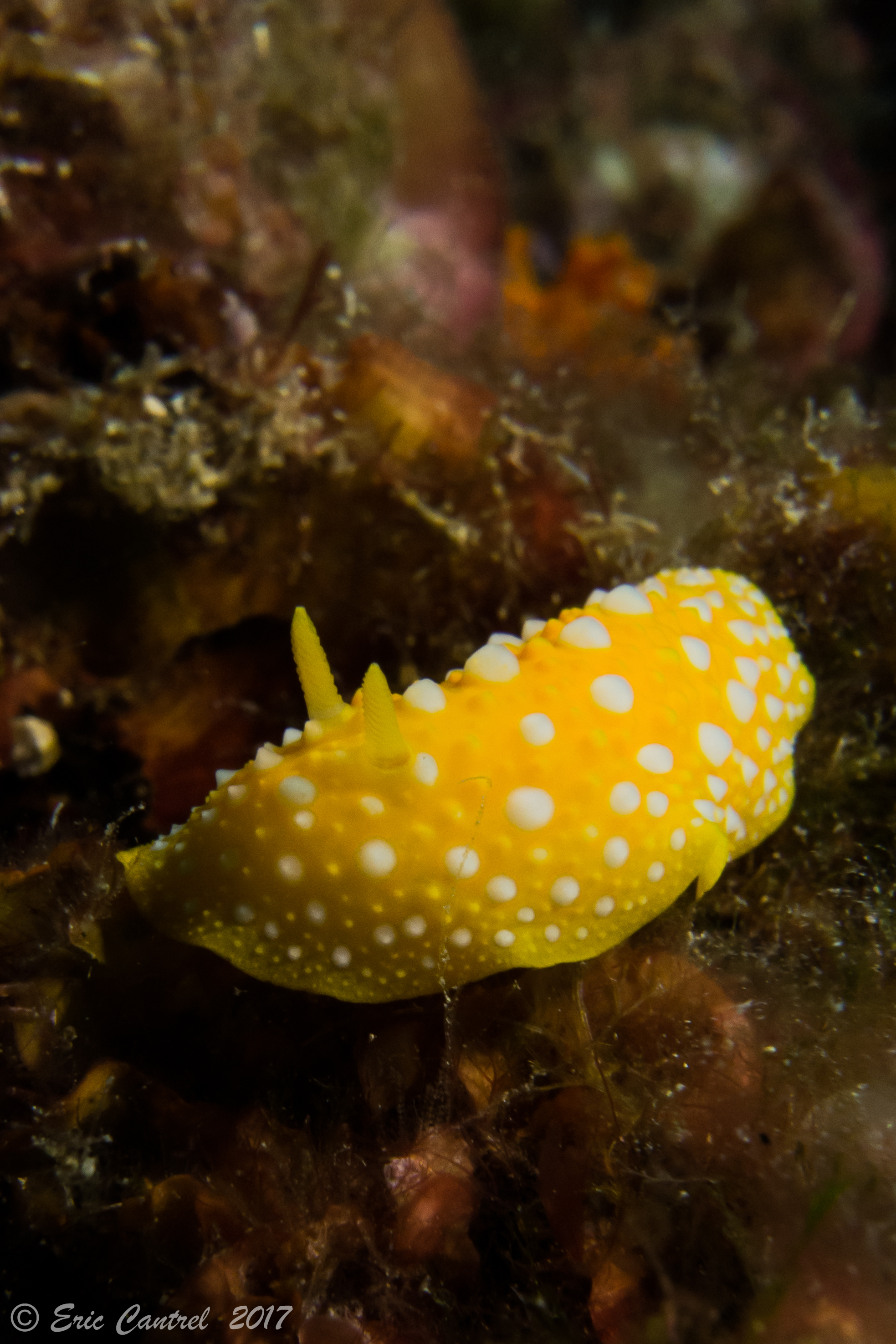 A L Eau Plongee 83 - Dive Center in France