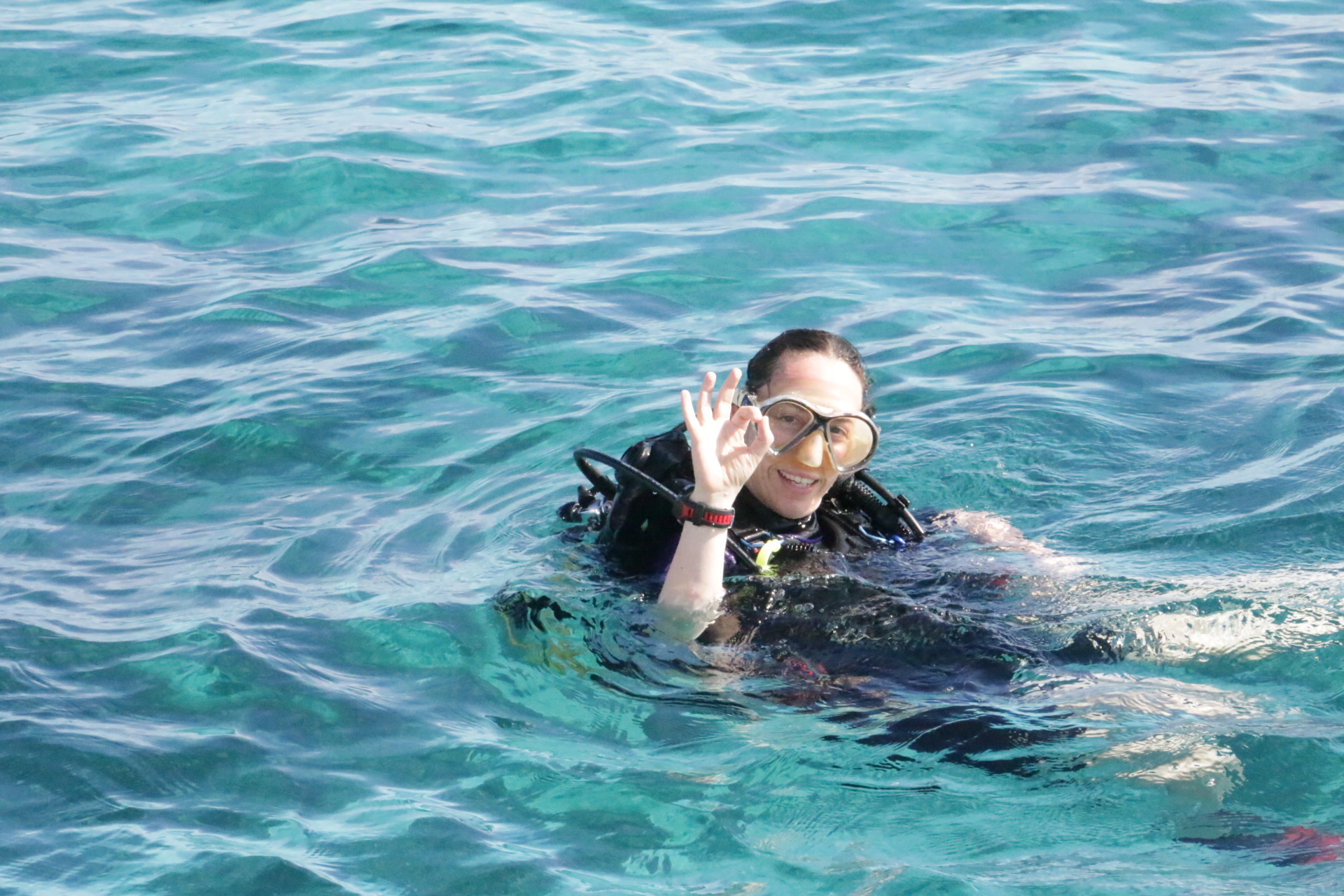 Amphibio Buceo - Dive Center in Argentina