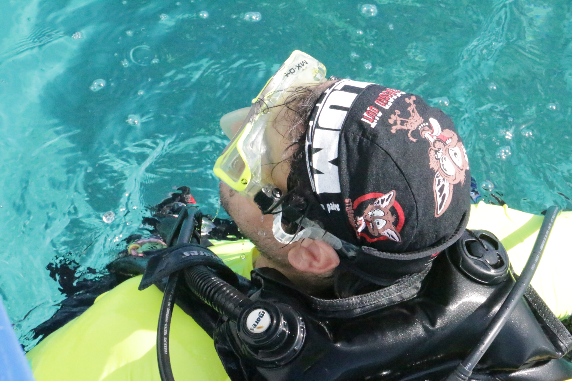 Amphibio Buceo - Dive Center in Argentina