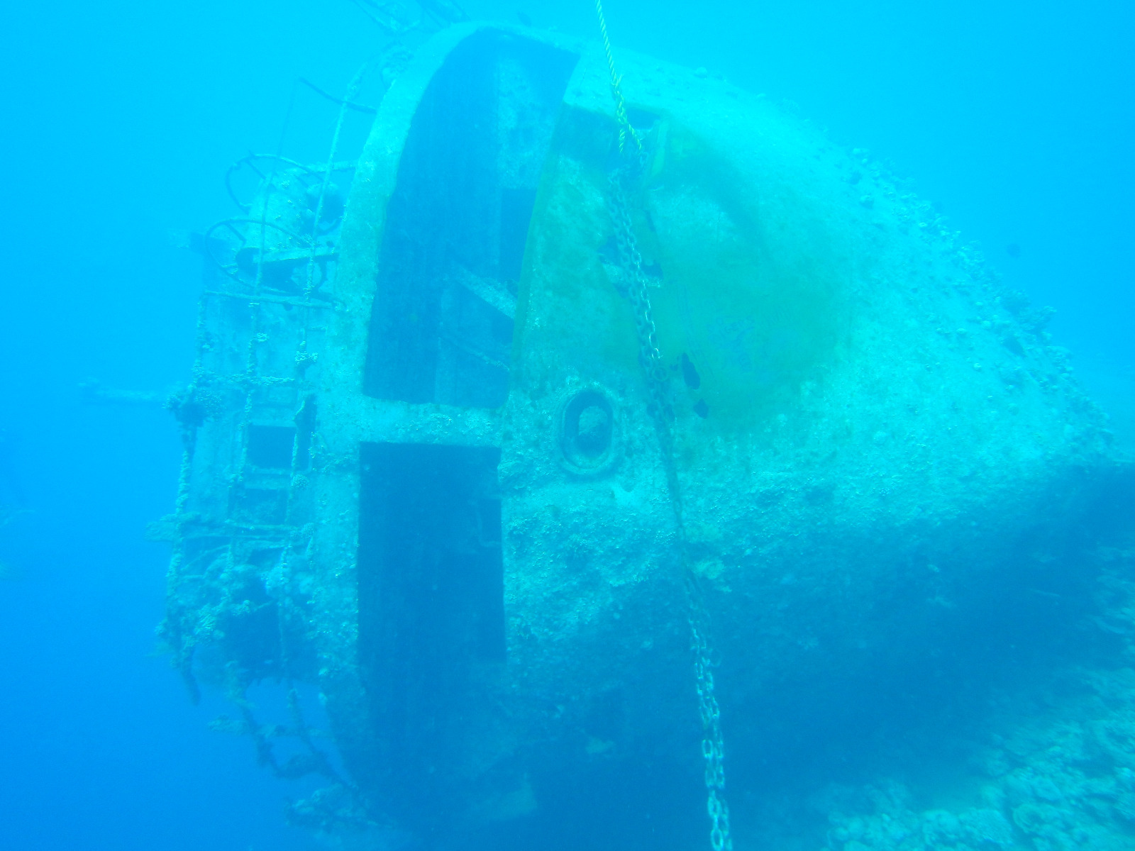 Picture taken during the dive