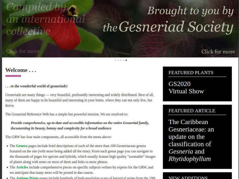 Gesneriads Reference Web