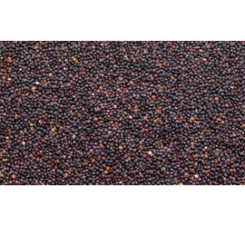Quinoa Negra 200 Grs.
