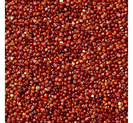 Quinoa Roja 200 Grs.