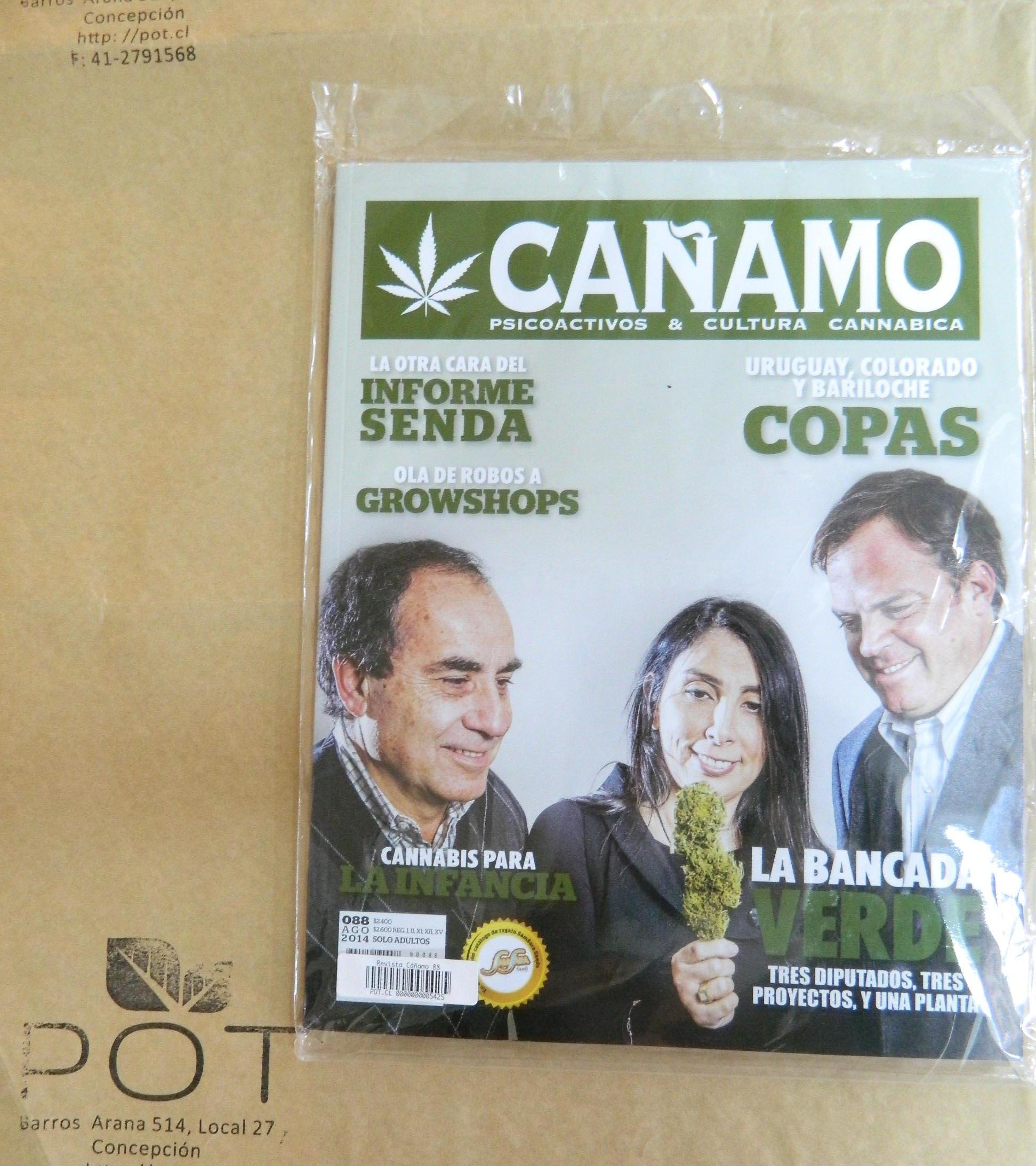 Revista Cáñamo 88