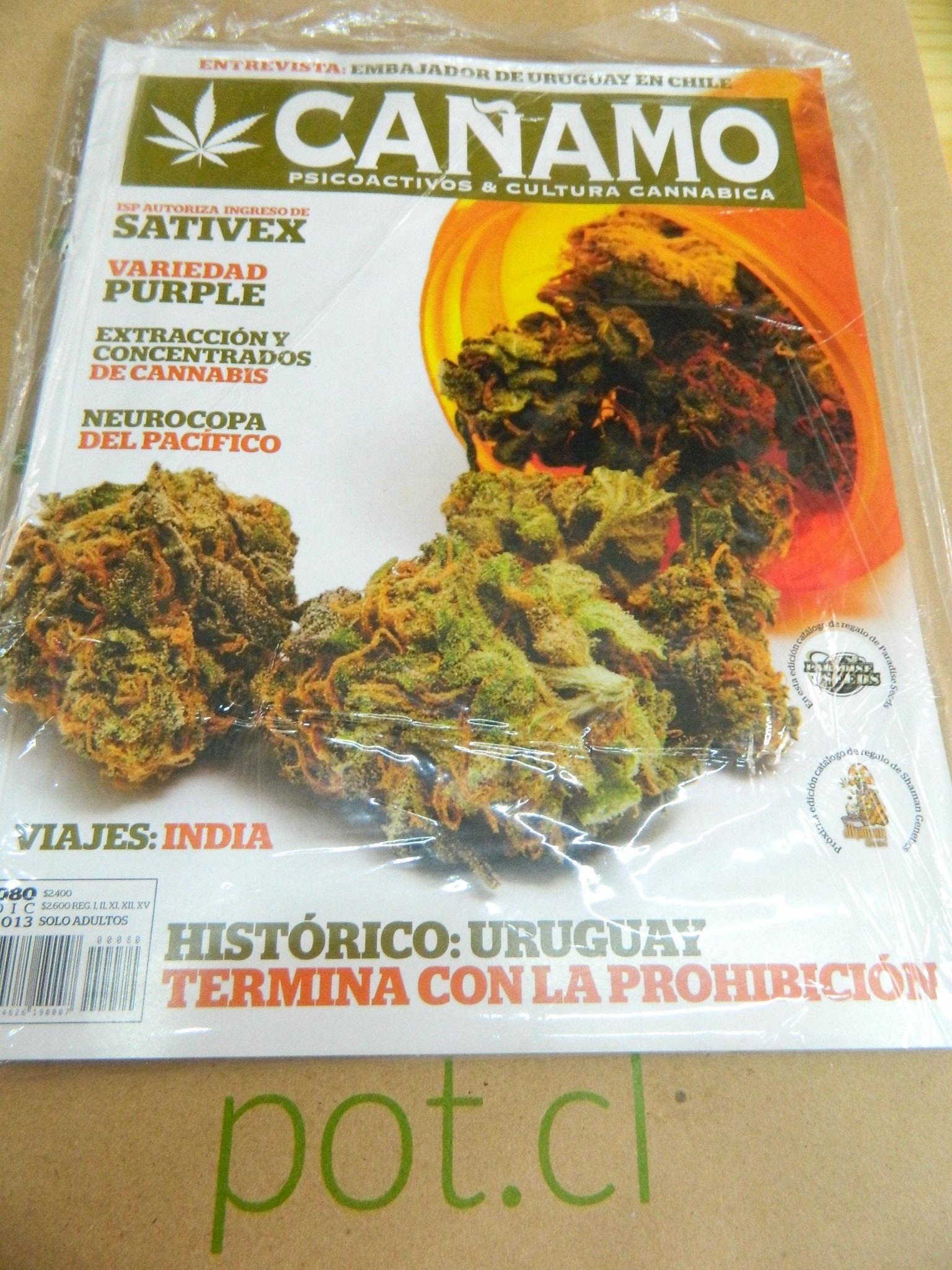 Revista Cañamo edi. 80