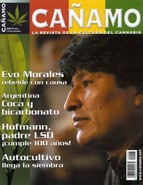 Revista Cañamo 98