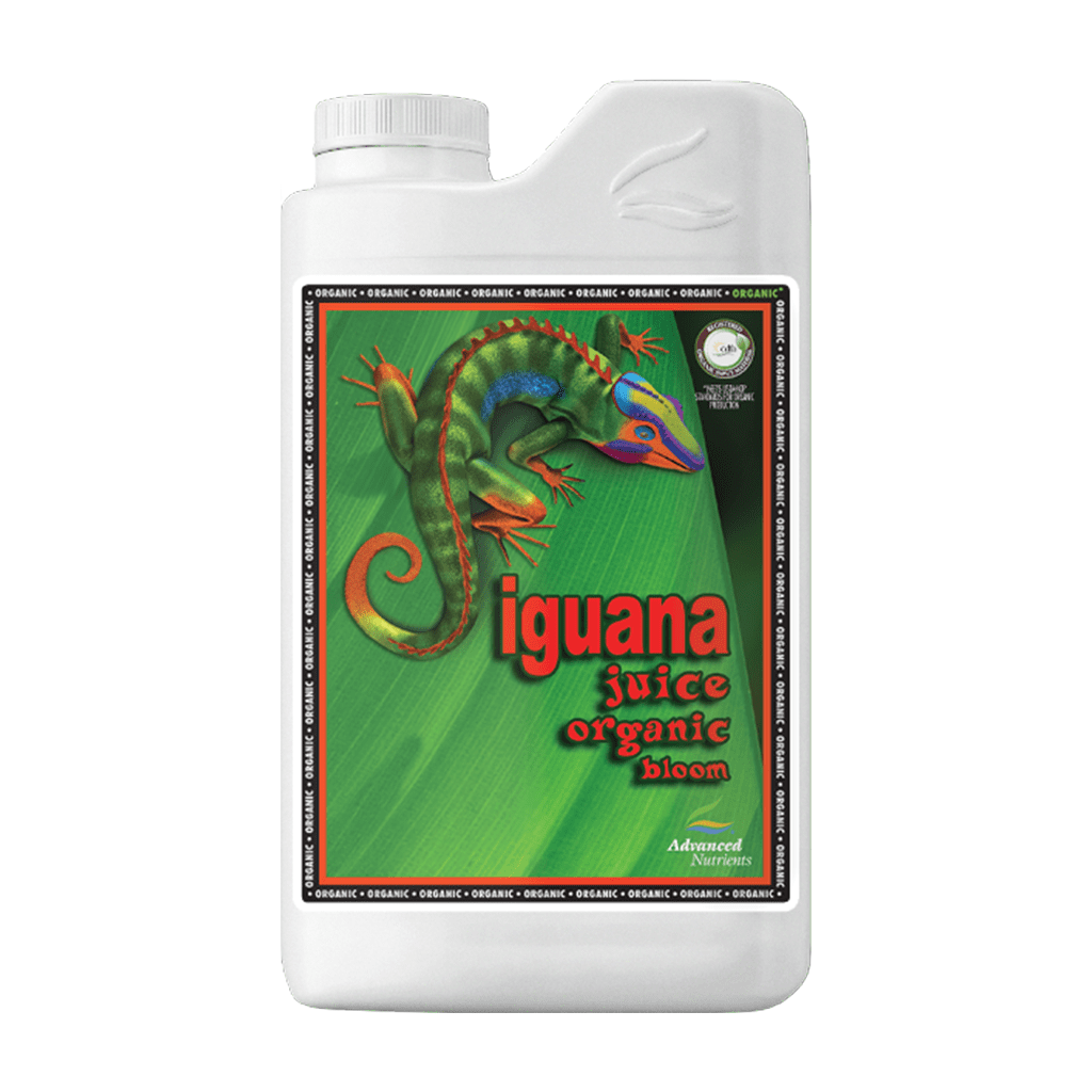 Iguana Bloom 1L OIM