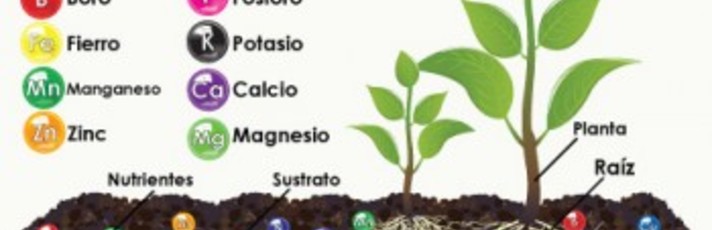 Elementos Del Suelo Esenciales Para Las Plantas Fertilizante Suelo ...