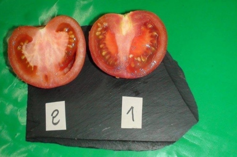 ¿Cómo distinguir un tomate ecológico de uno transgénico?