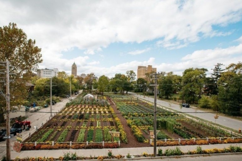 El primer agrihood urbano sostenible de los Estados Unidos alimenta a 2.000 hogares gratis