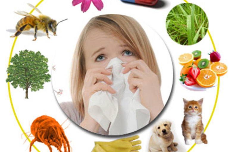 Recetas fáciles y naturales para combatir la alergia primaveral