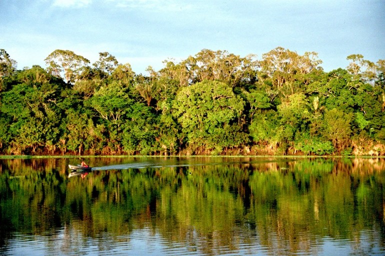 En apenas en 20 años ha desaparecido el 10 por ciento de la naturaleza virgen del planeta