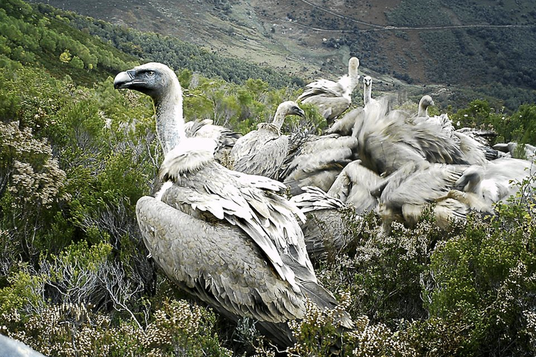 Contaminación ambiental