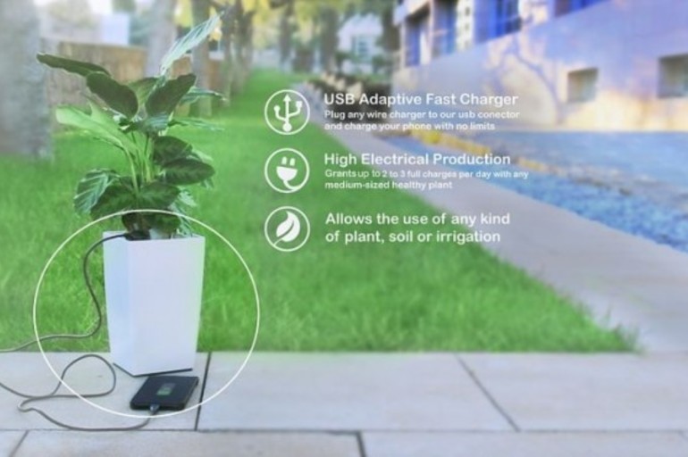 Bioo Lite genera energía eléctrica a partir de la fotosíntesis de las plantas