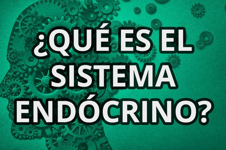 6 alimentos que regularán tu sistema hormonal