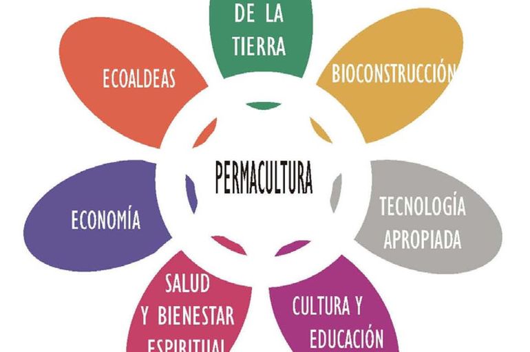 ¿Sabes lo que es la Permacultura? Te lo explicamos !