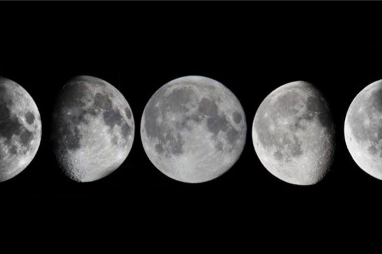 La influencia de la luna en las plantas para que crezcan mejor