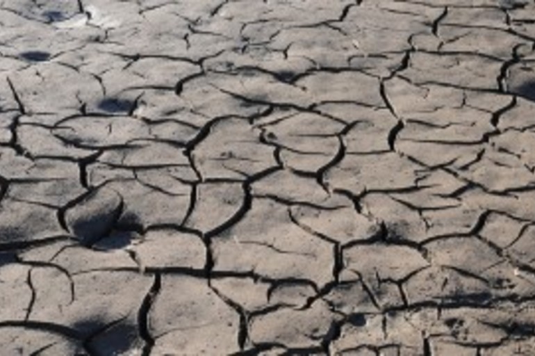 La agricultura producirá hasta un 25% menos de alimentos a causa del cambio climático