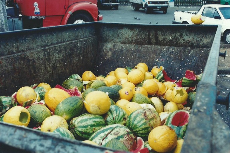 348.000 toneladas de comida se desperdician en América Latina