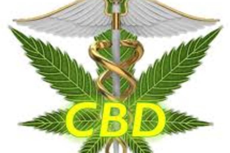 Nuevo estudio: CBD Previene e invierte la catalepsia inducida por antipsicóticos