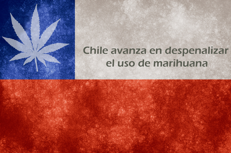 ¿Qué significa la aprobación en Comisión de la Ley de Autocultivo en Chile?