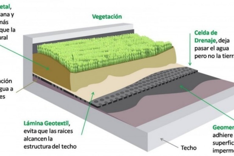 Techos verdes: una alternativa que suma adherentes