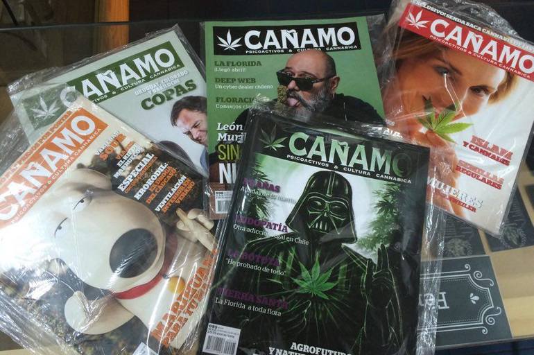 No te quedes sin tu revista Cañamo!! con toda la informacion relacionadaa los psicoactivos y la cultura cannabica