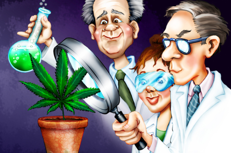 Los Top 10 del 2015 de estudios con el Cannabis