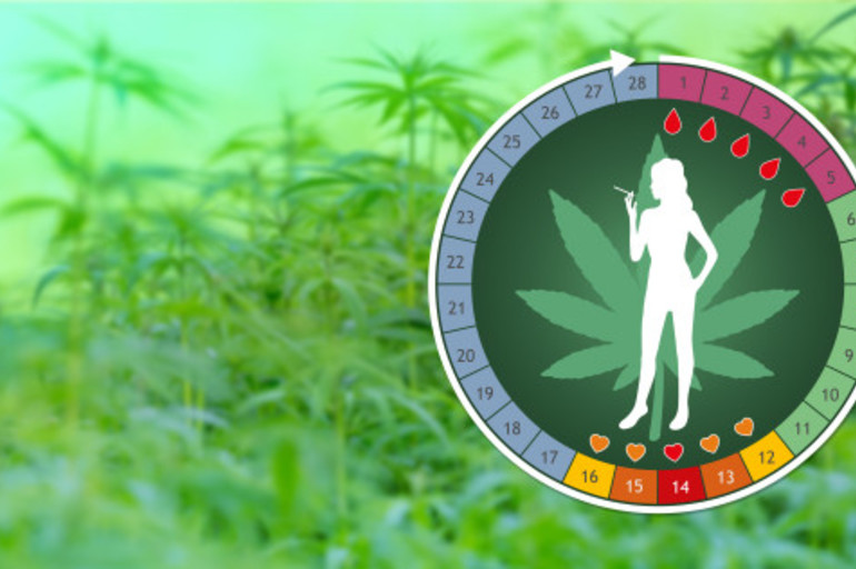 Las 5 principales formas en que la marihuana puede afectar al ciclo menstrual