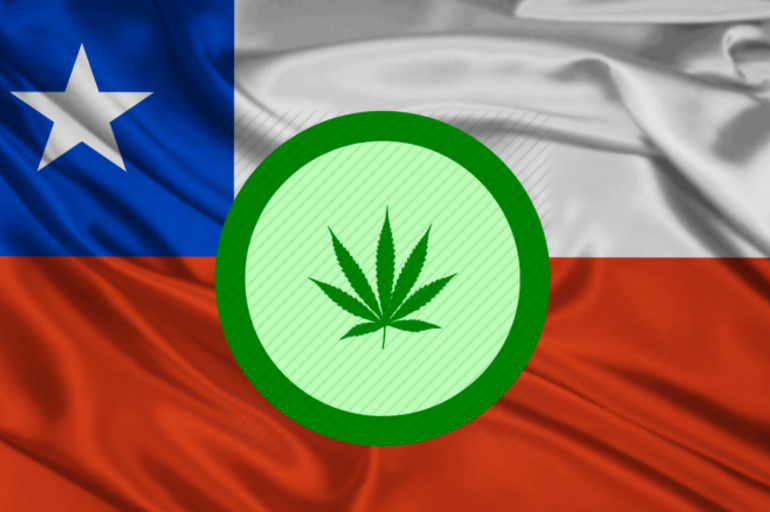 Chile tendría marihuana medicinal en 3 meses