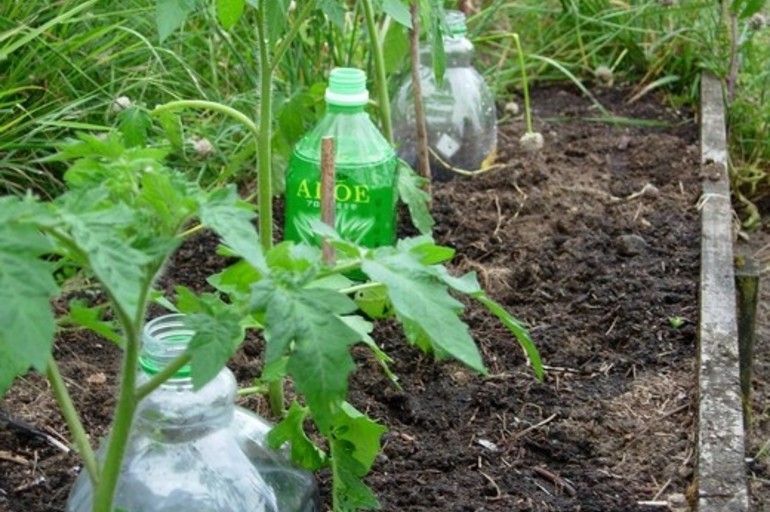 Riego por goteo para las plantas de manera casera y económica