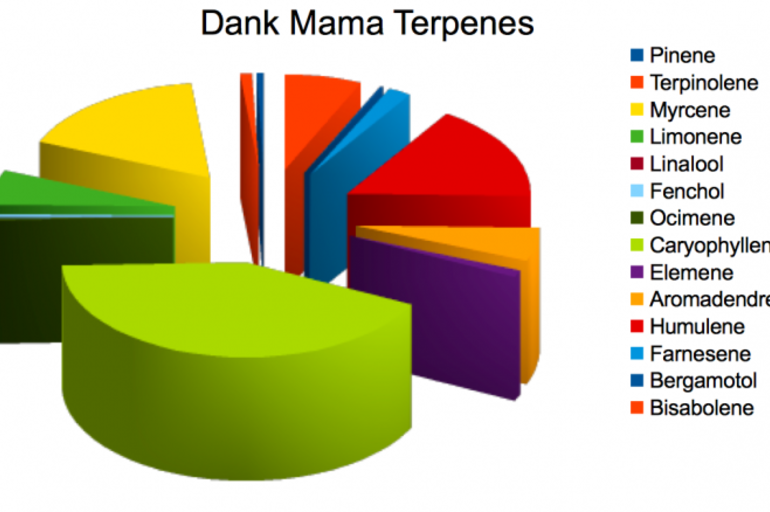 Los terpenos y terpenoides del cannabis