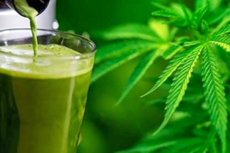 El zumo o jugo de hojas de Marihuana: ¡¡Espectacular para la salud !!